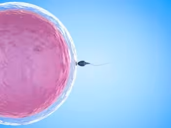 Do sperm donors now have parental rights