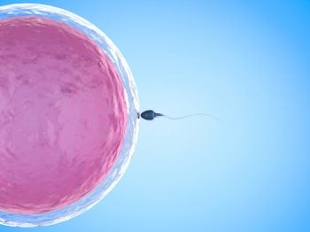Do sperm donors now have parental rights