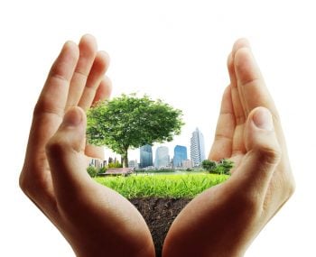 Using a Trust to operate your business